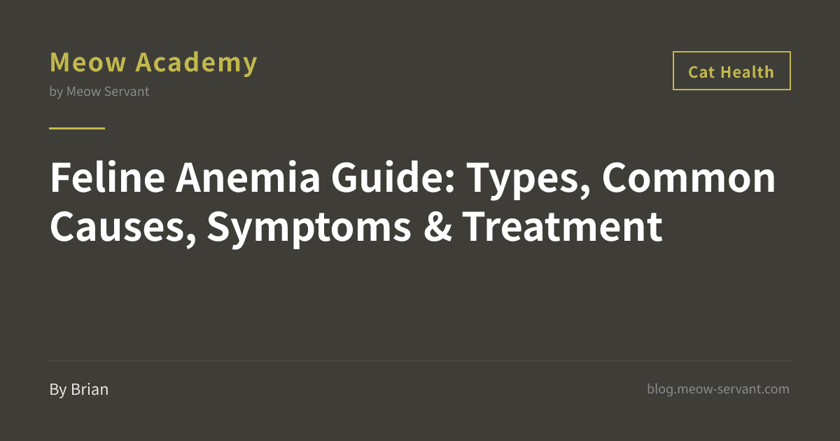 Feline Anemia | Types, Causes, Symptoms & Treatment [2026 Guide]｜Meow ...