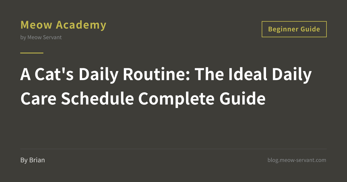 Cat Daily Routine Schedule: Ideal Feeding, Play & Care Timetable [2026 ...