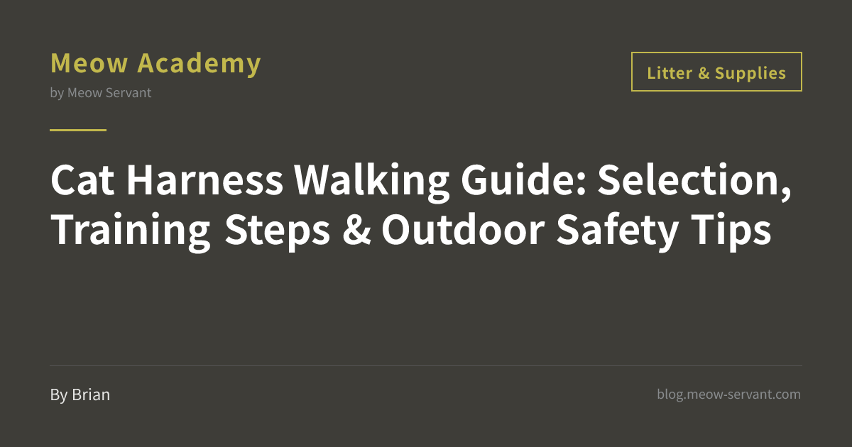 Cat Harness Walking Guide | Training Steps & Outdoor Safety [2026]｜Meow ...