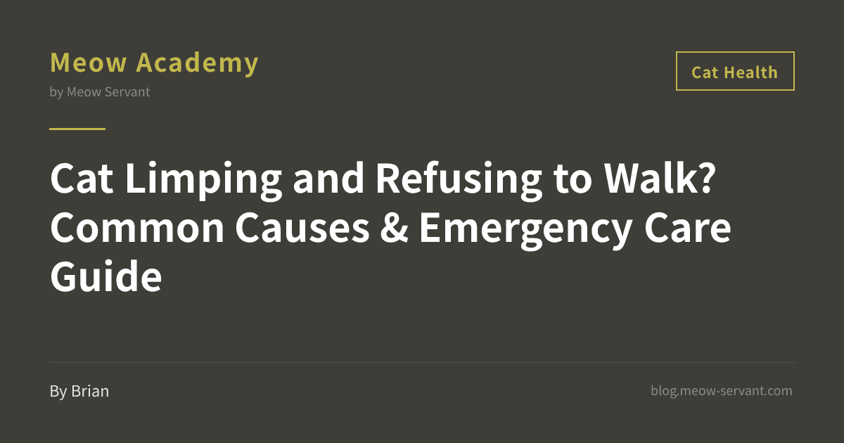 Cat Limping and Refusing to Walk? Common Causes & Emergency First Aid ...