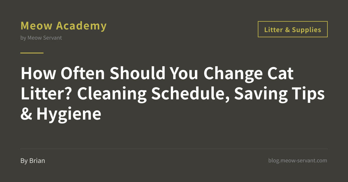 How Often to Change Cat Litter? Cleaning Frequency & Saving Tips [2026 ...